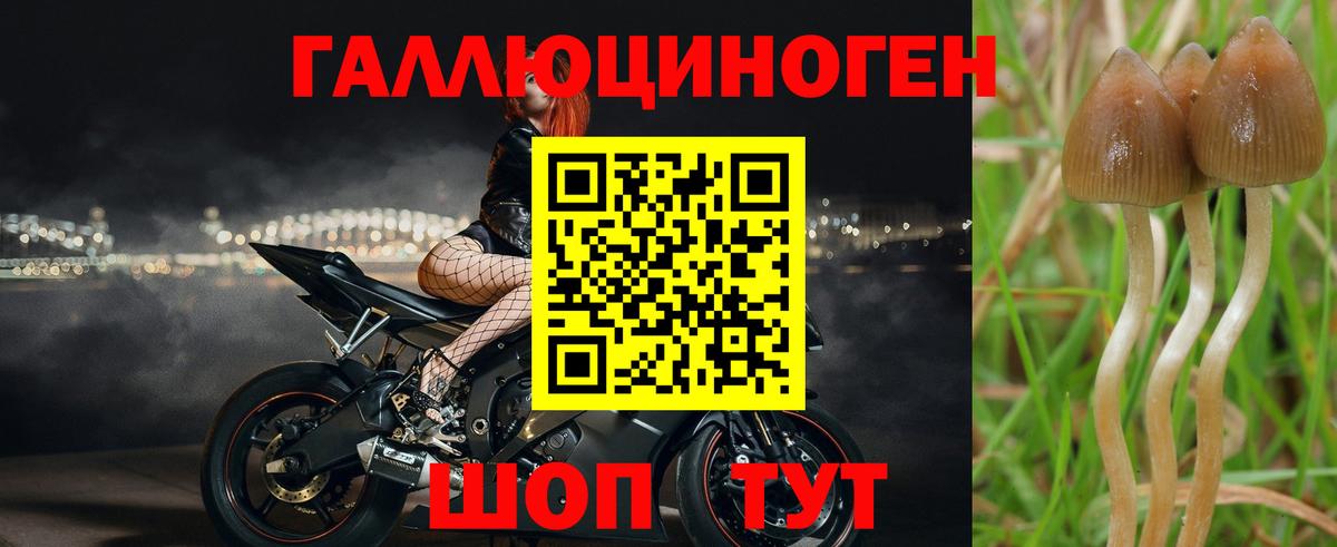 Галлюциногенные грибы Cubensis Воркута